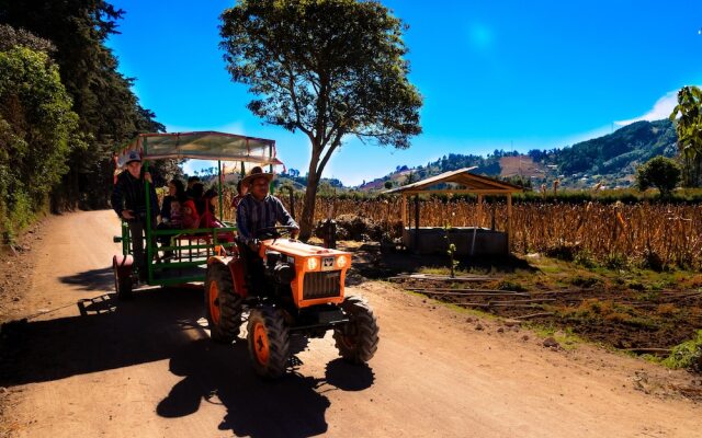 San Ricardo Farm and Lodge