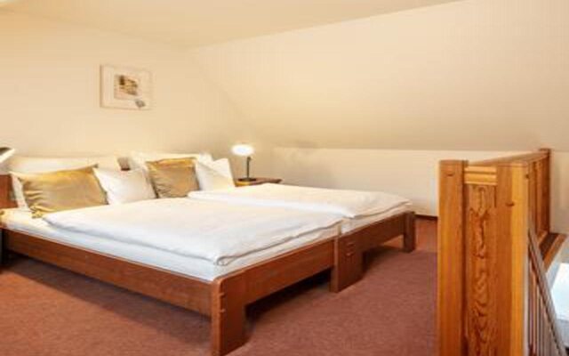 Pytloun Wellness Hotel Hasištejn