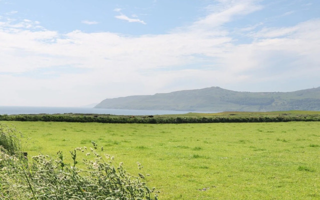Trefollwyn Mawr
