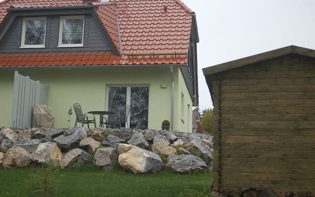 Zaunkönig 1.
