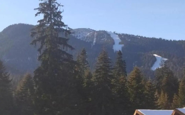 Апартамент С-59 в Апарт-хотел Боровец Гардънс