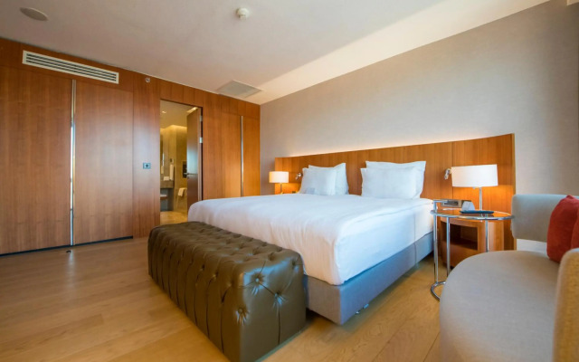 Crowne Plaza Kayseri by IHG