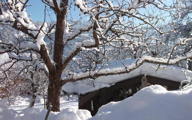 Ferien-Vitalhof Brixnerhof