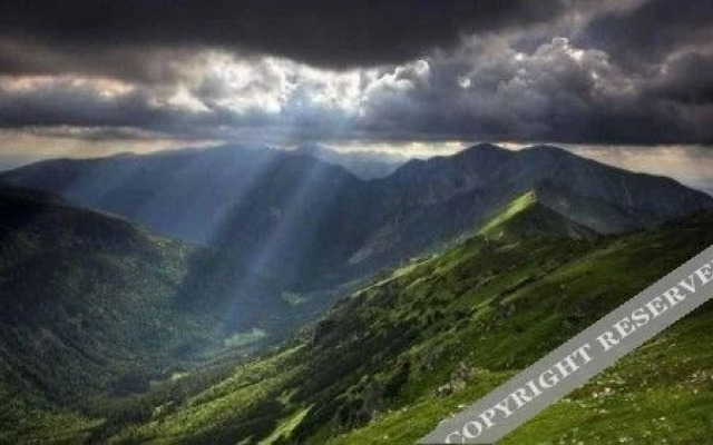 Leisure Vacations The Club Munnar