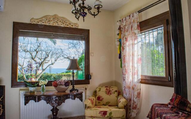Sofia's House