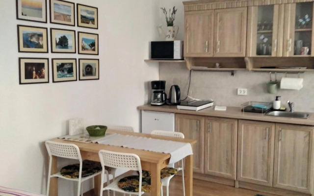 ECO-LUX APART with free bicycles end free parking