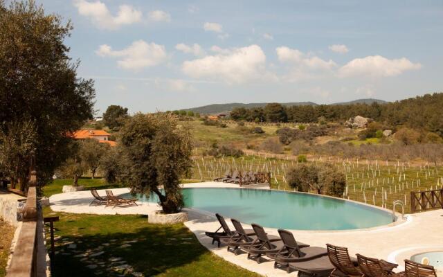 Vinifera Vineyards Hotel