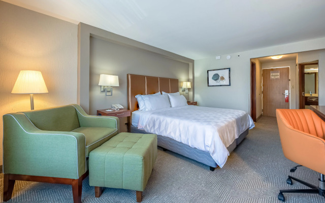 Holiday Inn San Jose La Sabana by IHG