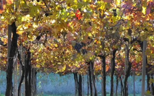 Agriturismo Fontefredda