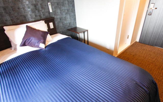 Standard Semi-Double room 사진 3