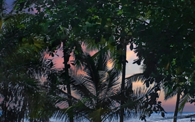 Palm Cove Beach Retreat - 1st Floor