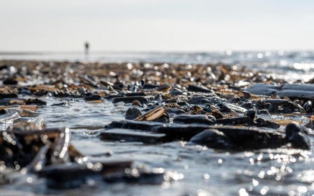 Steeds aan Zee