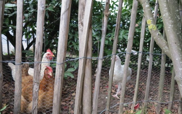 Schöni Sache Atelier Shop BnB