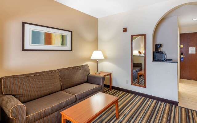 Comfort Suites Chesapeake - Norfolk