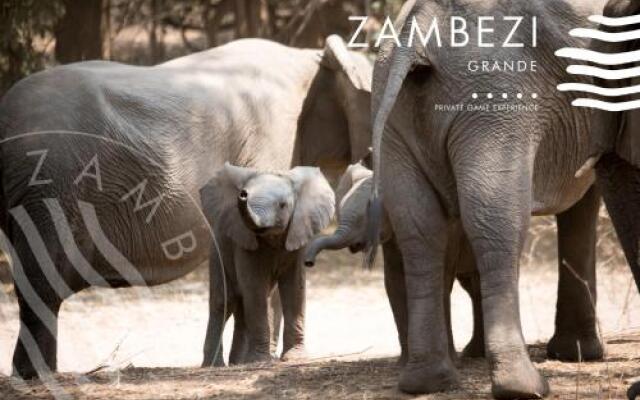 Zambezi Grande Private Game Experience - All Inclusive