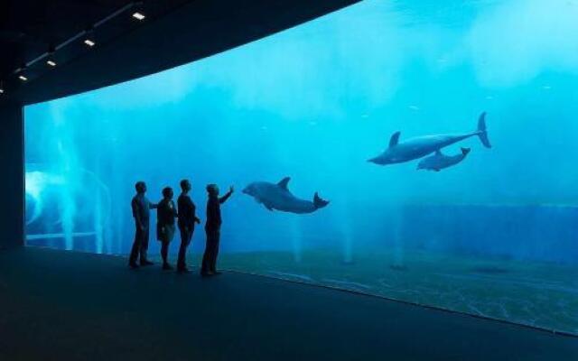 Flat 1 Bedroom - Albenga