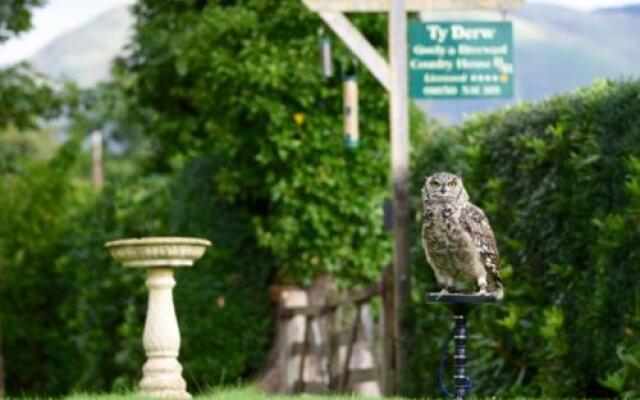 Ty Derw Country House B&B