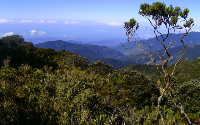 Dantica Cloud Forest Lodge