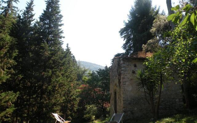 Lodge Rina