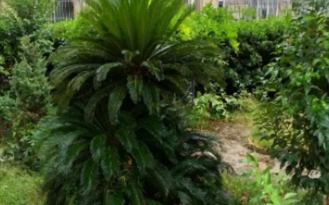 Un Giardino a Due Passi dal Mare