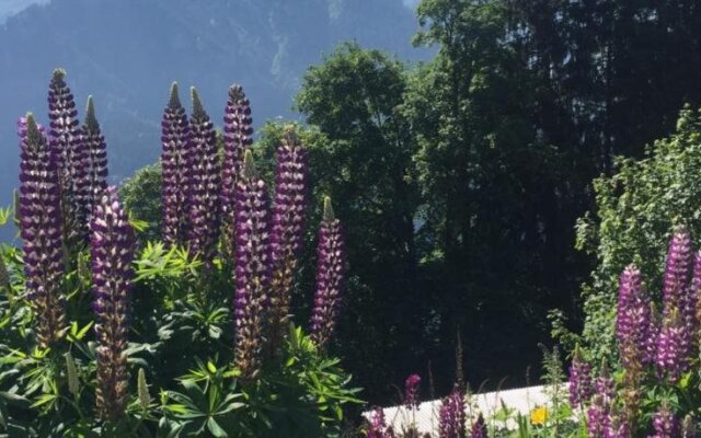 Hotel & Restaurant Stadthof Glarus