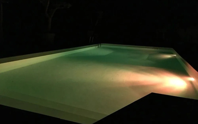 Le Jardin des Oliviers