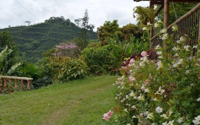 Monte Jazmín