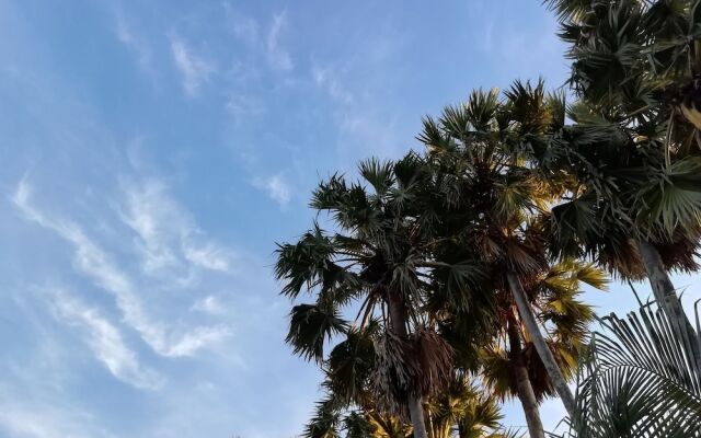 Palm Payom Village Resort