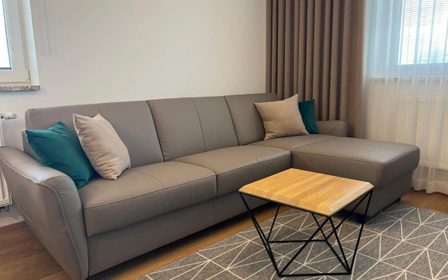 Downtown apartment Darinka