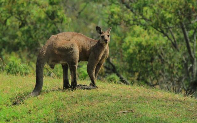 Wandin Valley Estate