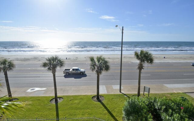 The Regal Seagull by RedAwning