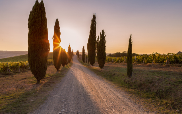 Fattoria Pratale