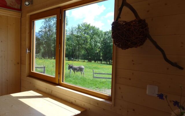 La Tete dans les Étoiles