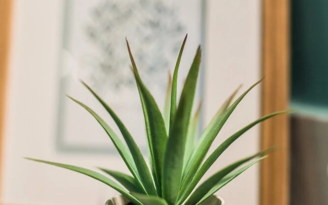 Quality Suites Madrid