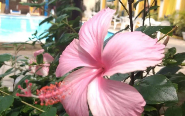 Pousada Flores do Mar