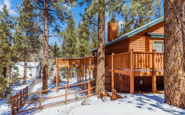 104 - Cozy Cabin in Pinewood Estates