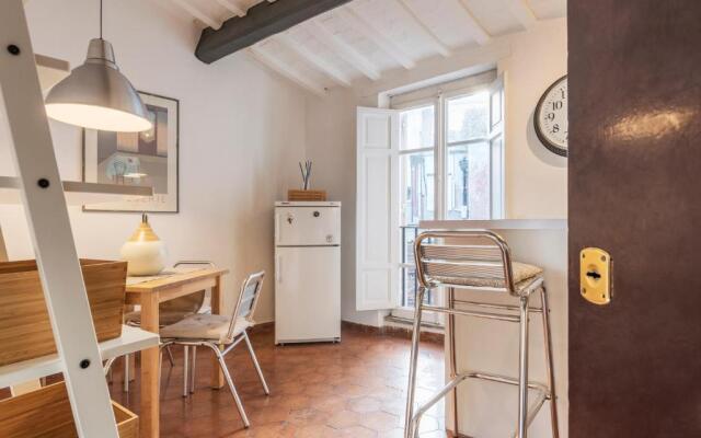 Charming Loft Navona