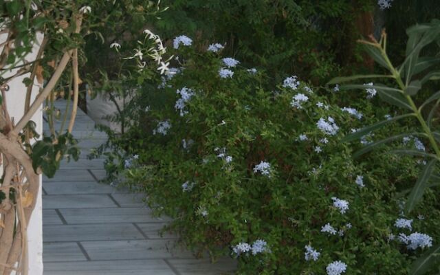 Spiros & Hiroko Hotel - Adults Only