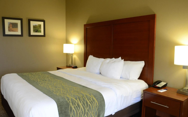 Comfort Inn & Suites Cave City