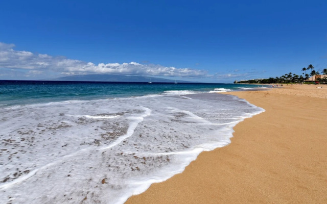 Eldorado A203 1 Bedroom Condo