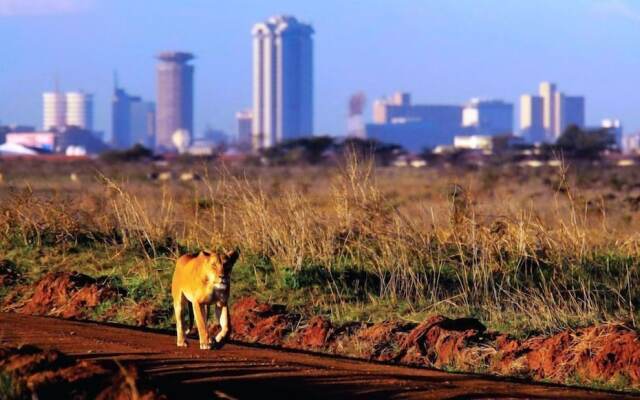 JKIA Airport side apartment