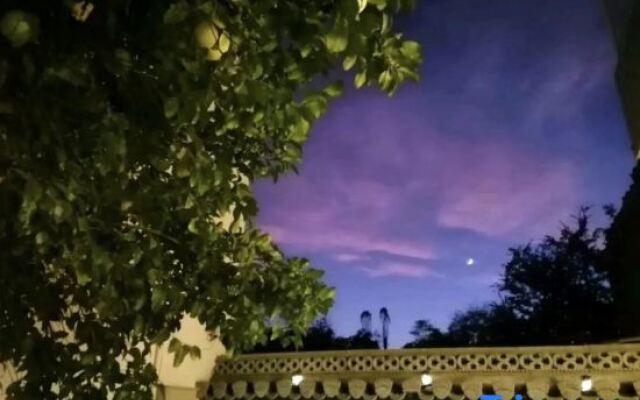 Zimo Guesthouse