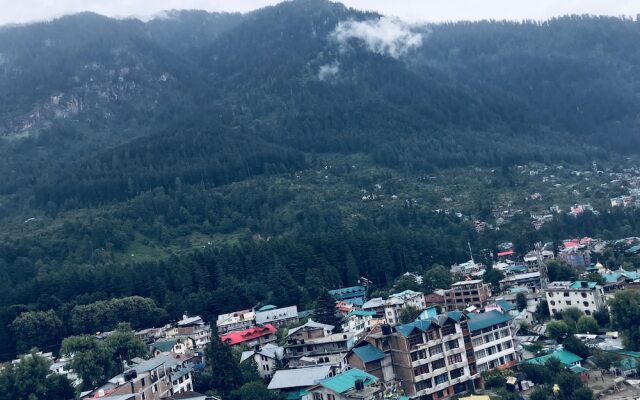 Hotel Hadimba Palace Manali