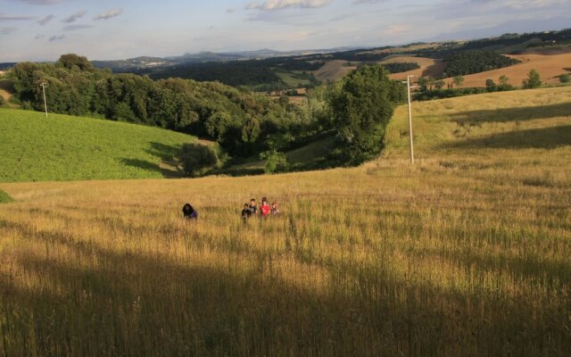 Podere San Simone