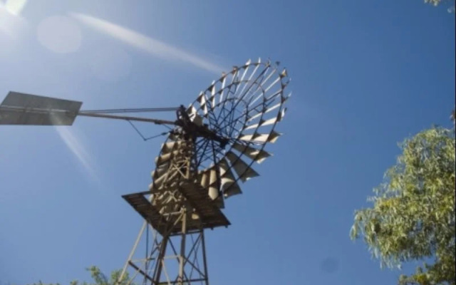 Lazy Lizard Tavern and Caravan Park Cabins