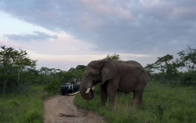Simbambili Game Lodge