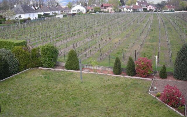 aux pieds des vignes