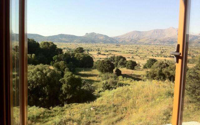 Dionysus Lasithi Plateau