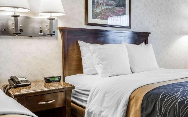 Comfort Inn Bellingham