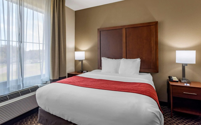 Comfort Inn & Suites Atoka-Millington